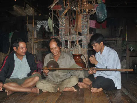 Cây lồ ô trong đời sống của người Xê Đăng