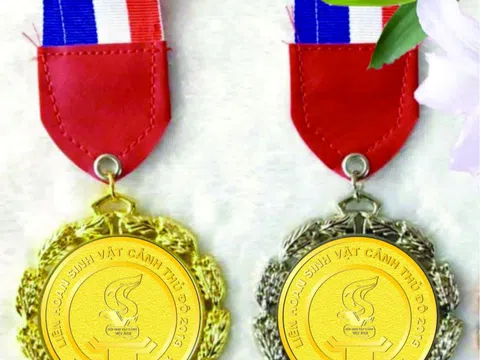 Liên hoan SVC Thủ đô: Chấm thi Cây cảnh nghệ thuật dựa trên 9 tiêu chí để trao Huy chương Vàng, Huy chương Bạc