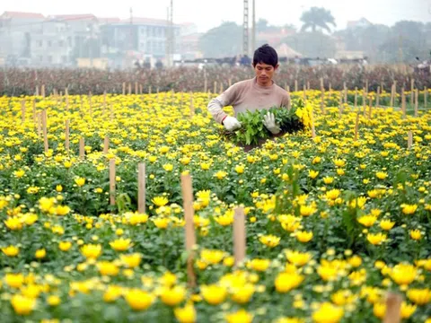 Định hướng phát triển Nông nghiệp và xây dựng Nông thôn mới của Hà Nội giai đoạn 2021 - 2030