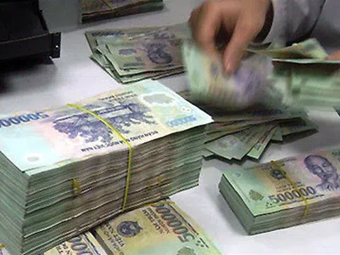 Hà Nội: Xử phạt công ty tổ chức thi 'Hoa hậu Thảo mộc' không phép