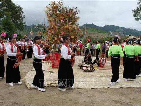 Việt Nam tiếp tục hoàn thiện hồ sơ 2 di sản văn hóa đệ trình UNESCO ghi danh