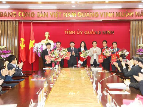 Nhân sự mới Quảng Ninh, thành phố Hồ Chí Minh