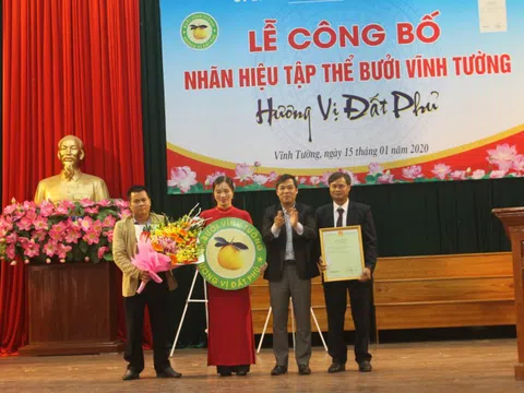 Vĩnh Phúc: Công bố nhãn hiệu tập thể sản phẩm Bưởi Vĩnh Tường – Hương vị đất phủ