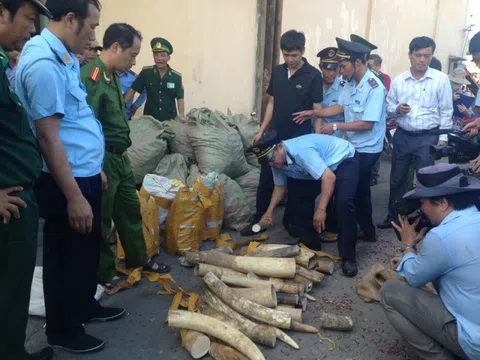 Hải quan đẩy mạnh thực thi pháp luật về bảo tồn đa dạng sinh học