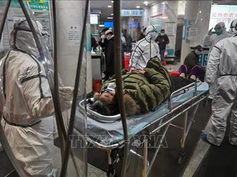 Dịch bệnh do chủng mới virus Corona: Cảnh báo nguy cơ truyền nhiễm qua đường tiêu hóa