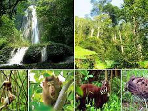 Nhiệm vụ lập Quy hoạch bảo tồn đa dạng sinh học