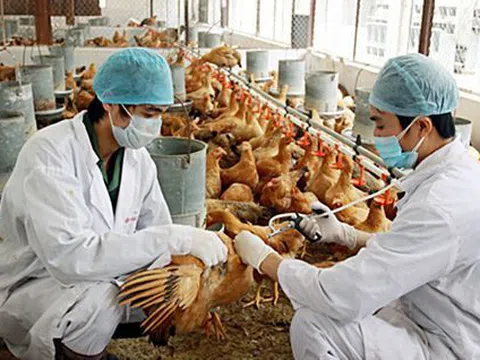 Thủ tướng yêu cầu không để dịch chồng dịch