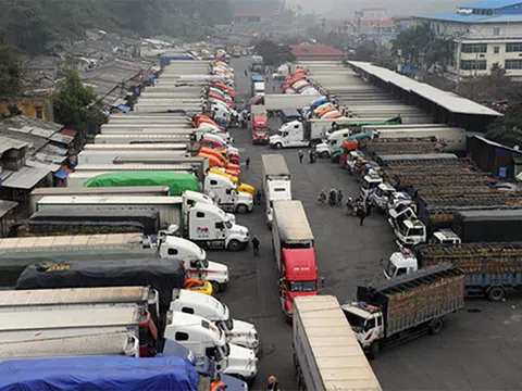 Thủ tướng cho phép giao nhận hàng hóa tại cửa khẩu, thực hiện nghiêm việc kiểm dịch