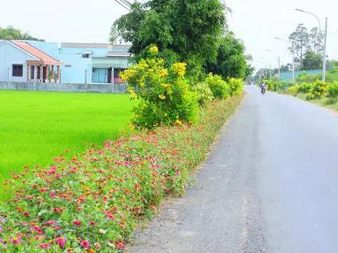 Huyện Châu Thành (Long An) đạt chuẩn nông thôn mới