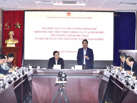 Tổ công tác của Thủ tướng làm việc với Ủy ban Quản lý vốn và 13 doanh nghiệp lớn