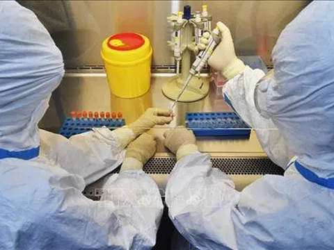 Dịch viêm đường hô hấp cấp COVID-19: Nghiên cứu về cơ chế lây lan virus nCoV