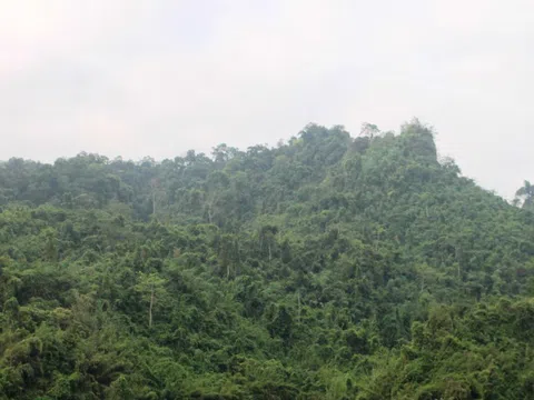 Hà Giang: Rừng Phong Quang không còn "nóng" tình trạng khai thác lâm sản trái phép