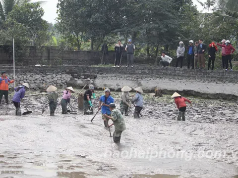 Hải Phòng: Khai quật khẩn cấp 13 cọc gỗ ở xã Lại Xuân