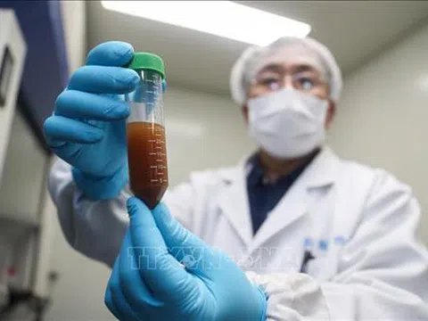Dịch COVID-19: Vaccine phòng bệnh đã đạt thành công bước đầu trong quá trình thử nghiệm