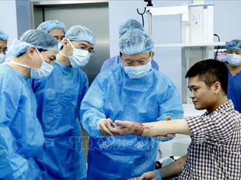 Thực hiện thành công ca ghép chi thể đầu tiên trên thế giới từ người cho sống