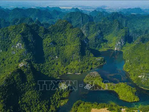 Ninh Bình: Những phát hiện mới về cấu trúc quần xã côn trùng ở Tràng An
