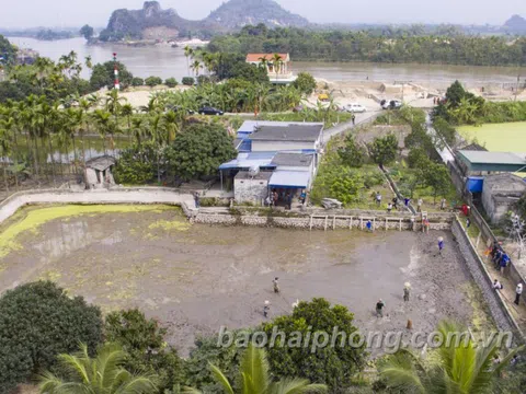 Hải Phòng: Khảo sát, nghiên cứu bãi cọc Đầm Thượng, xã Lại Xuân