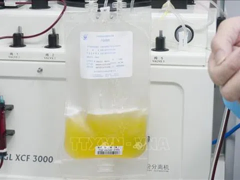 Huyết tương của người khỏi bệnh có tác dụng tích cực trong điều trị bệnh nhân nhiễm SARS-CoV-2