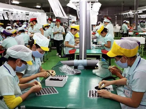 Vi phạm quy định về thực hiện hợp đồng lao động bị phạt đến 150 triệu đồng