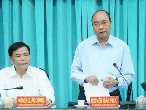 Thủ tướng: Vaccine có sẵn của Việt Nam là tinh thần kiên cường, vượt khó