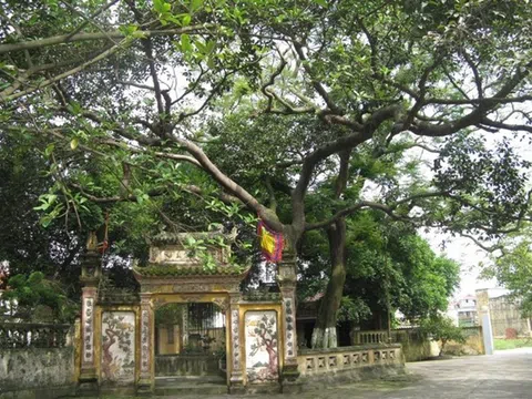 Làng Diềm xứ Kinh Bắc: Người quan họ không được lấy nhau khi đã “kết chạ"