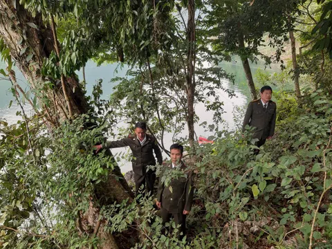 Tuyên Quang: Lâm Bình quản lý, bảo vệ rừng