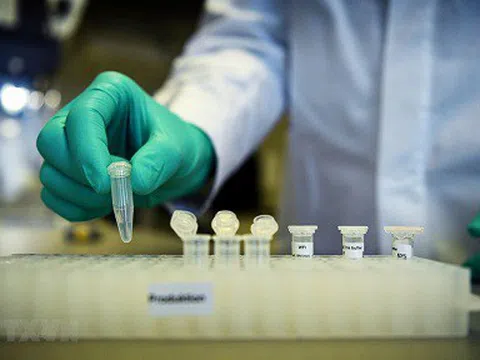 Australia thử nghiệm vaccine COVID-19 giai đoạn 1