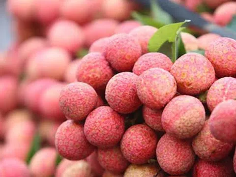 Một số đặc sản của huyện Lục Ngạn- Bắc Giang