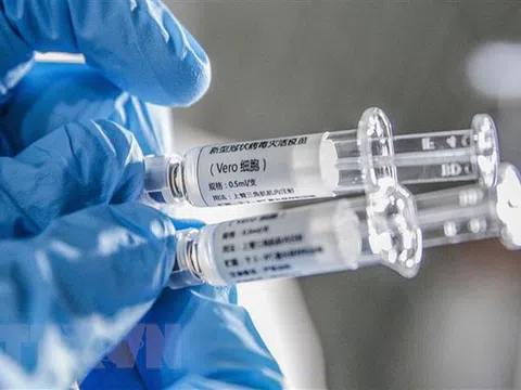 Con người sẽ phải chung sống với SARS-CoV-2?