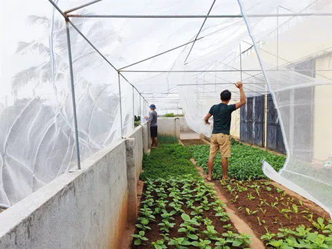 Nông nghiệp công nghệ cao trên đảo Trường Sa