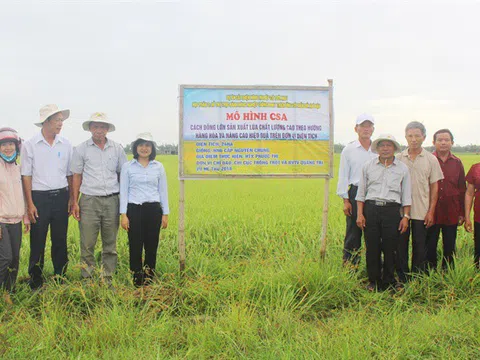 Đột phá trong thâm canh cây lúa