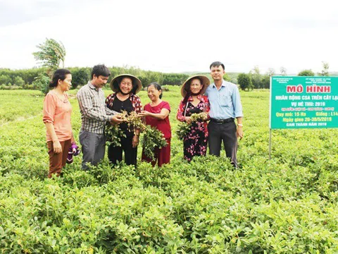 Sản xuất cây trồng cạn áp dụng tưới tiết kiệm: Tối ưu trên cả ba mặt