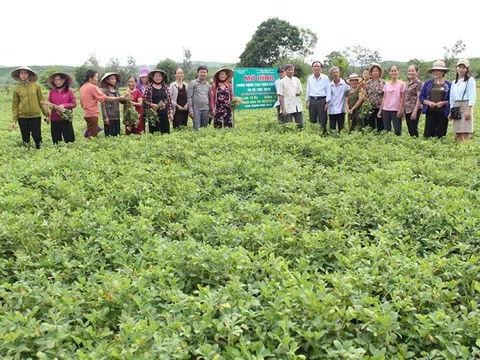 Tham quan chéo các mô hình nông nghiệp thông minh