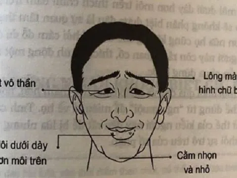 Tướng người lười biếng thích ăn sẵn, ai vớ phải mệt mỏi cả đời