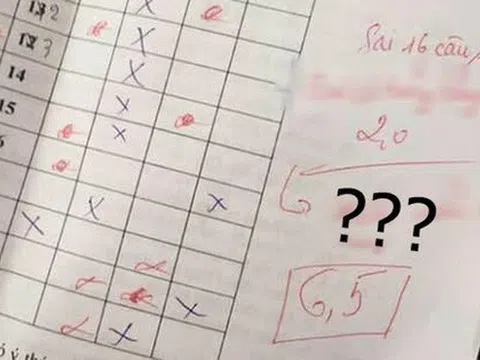 Từ 2 nâng lên 6,5 điểm, cô giáo xin lỗi dễ thương