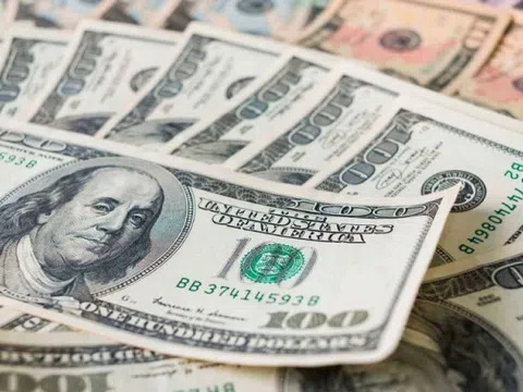 Tỷ giá USD hôm nay 13/1: 'Giậm chân tại chỗ' sau phiên tăng mạnh
