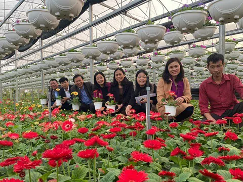 Thúc đẩy kết nối tiêu thụ nông sản