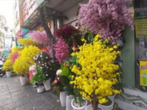Chơi hoa giả ngày Tết nên bày trí như thế nào cho hợp phong thủy?