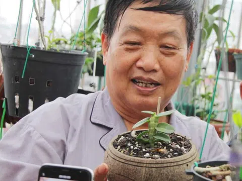Thăm vườn Lan Đột Biến của GS.TSKH Trần Duy Quý