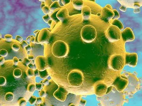 Bài hát "Cùng nhau chống virus corona" lan tỏa mạnh mẽ trên mạng xã hội