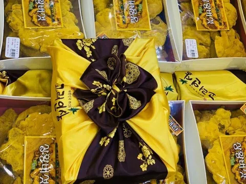 Nấm Thượng hoàng Hàn Quốc