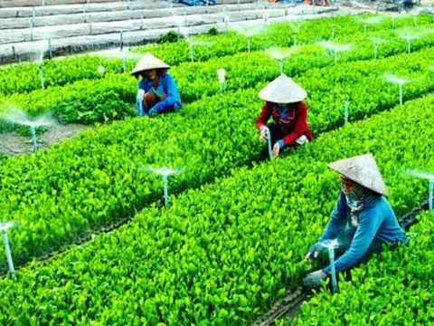 Kinh tế hợp tác, bản chất của Hợp tác xã nông nghiệp và lợi ích mang lại