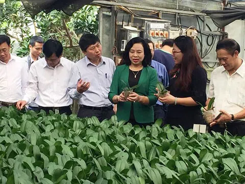 Về mô hình mở đường cho kinh tế hợp tác phù hợp với trình độ của kinh tế hộ nông dân