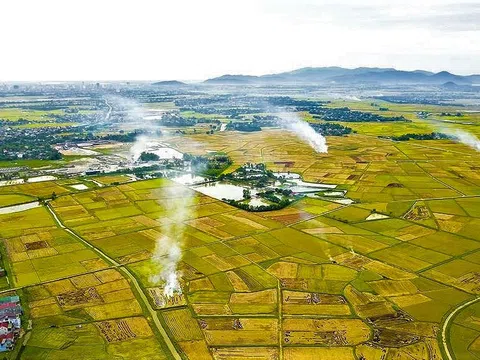Thực trạng phát triển HTX nông nghiệp ở vùng đồng bằng sông Hồng