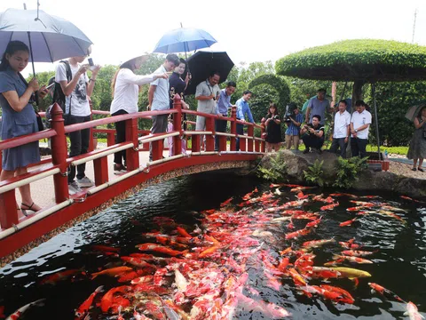 Khu Du lịch sinh thái Dũng Tân, Thái Nguyên điểm đến hấp dẫn không thể bỏ qua