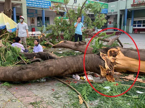 Văn hóa xin lỗi, nhận trách nhiệm cần được hình thành và lan tỏa ngay trong môi trường giáo dục