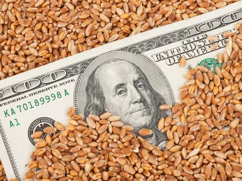 Kênh đầu tư hấp dẫn năm 2020 – Phái sinh hàng hóa