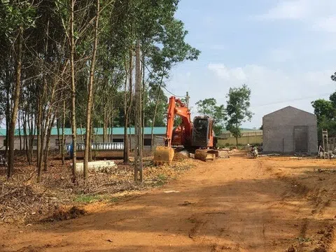 Ba Vì – Hà Nội: Buông lỏng quản lý TTXD, lãnh đạo xã Thụy An có bị xử lý?