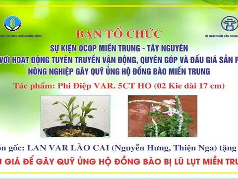 Sự kiện OCOP miền Trung - Tây Nguyên gắn với hoạt động thiện nguyện hướng về miền Trung thu hút sự tham gia tích cực của cộng đồng doanh nghiệp