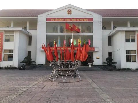 Gia Lâm - Hà Nội: Xã Phù Đổng đạt chuẩn Nông thôn mới nâng cao năm 2020